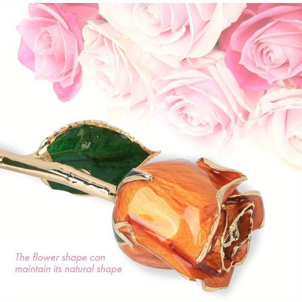 Valentines Day Rose Dipped Rose Forever Preserved Rose Flower with Display Stand for Her Wife Mother Girlfriend on Anniversary Birthday Christmas, Orange