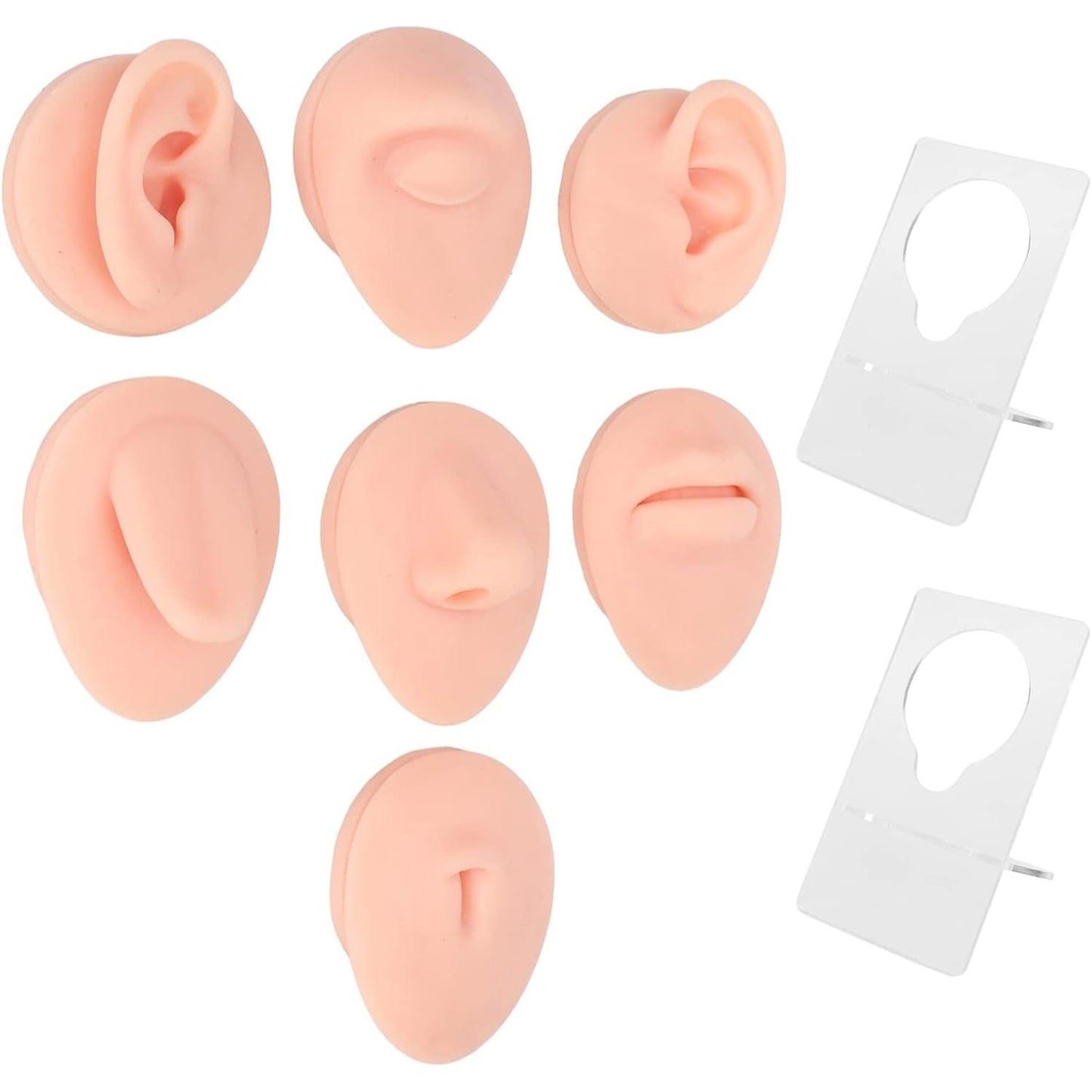 JTLB Body Piercing Kits, Silicone Piercing Body Model Soft Silicone Ear Mouth Nose Eye Tongue Navel Model with Display Rack for Piercing Practice (Medium Skin Color)