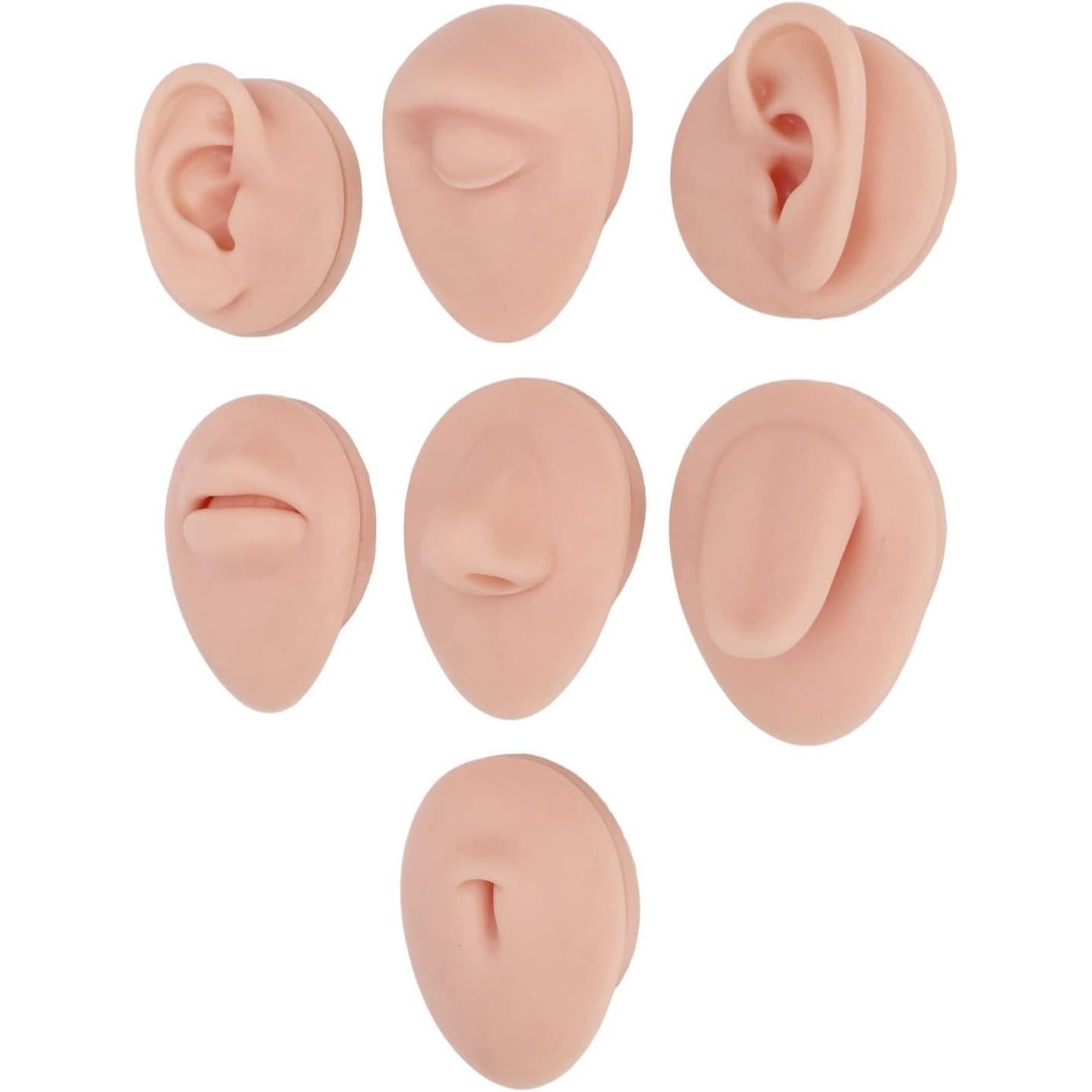 JTLB Body Piercing Kits, Silicone Piercing Body Model Soft Silicone Ear Mouth Nose Eye Tongue Navel Model with Display Rack for Piercing Practice (Medium Skin Color)